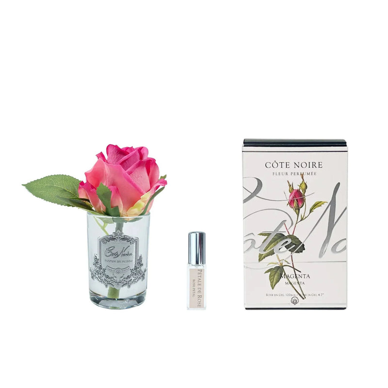 Natural Perfumed Magenta Rose Bud with Clear Vase | Côte Noire