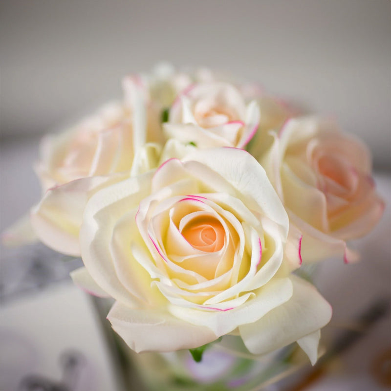 Five Pink Blush Natural Perfumed Roses with Black Vase | Côte Noire