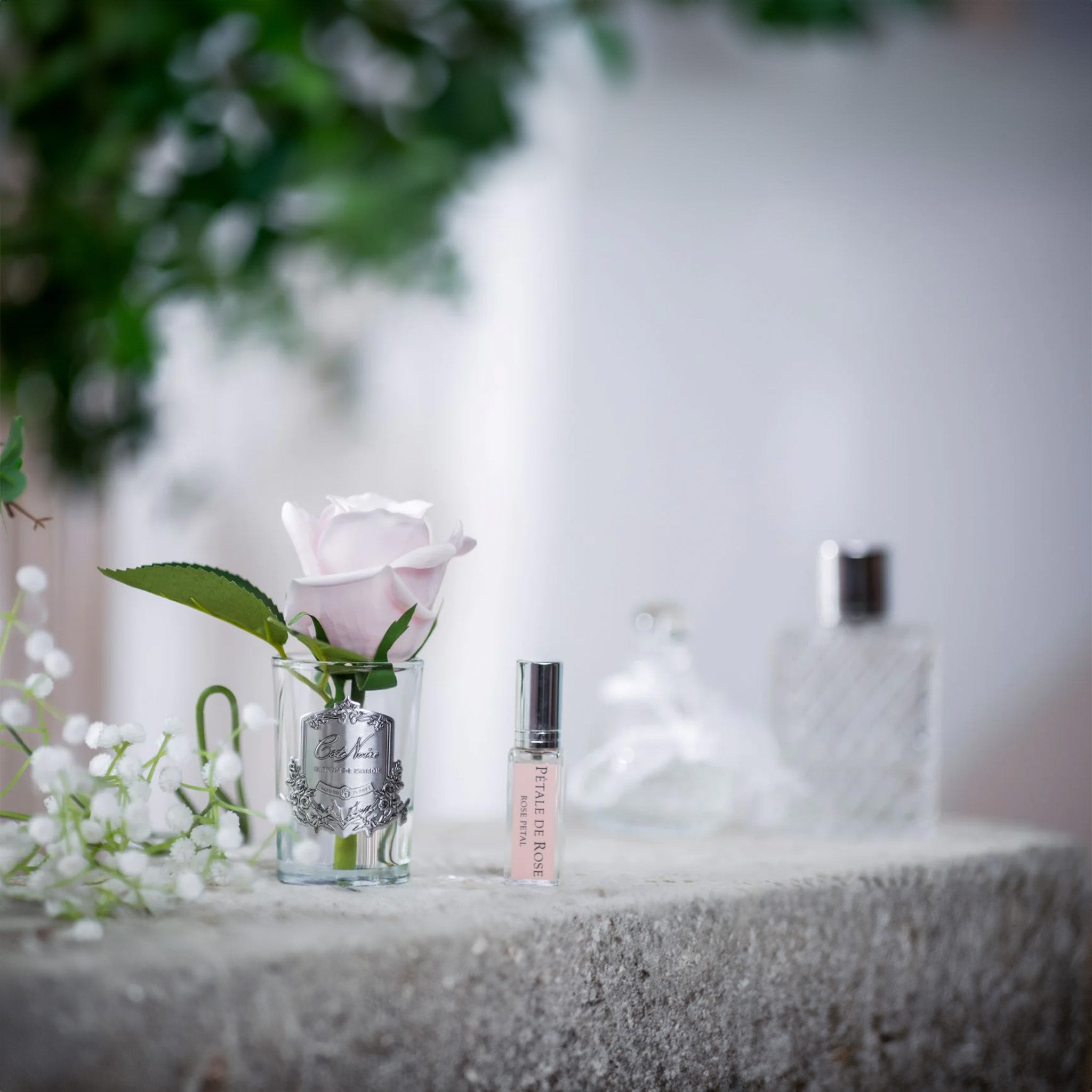 a french pink rose by cote noire in a glass vase with a fragrance bottle on a stone surface
