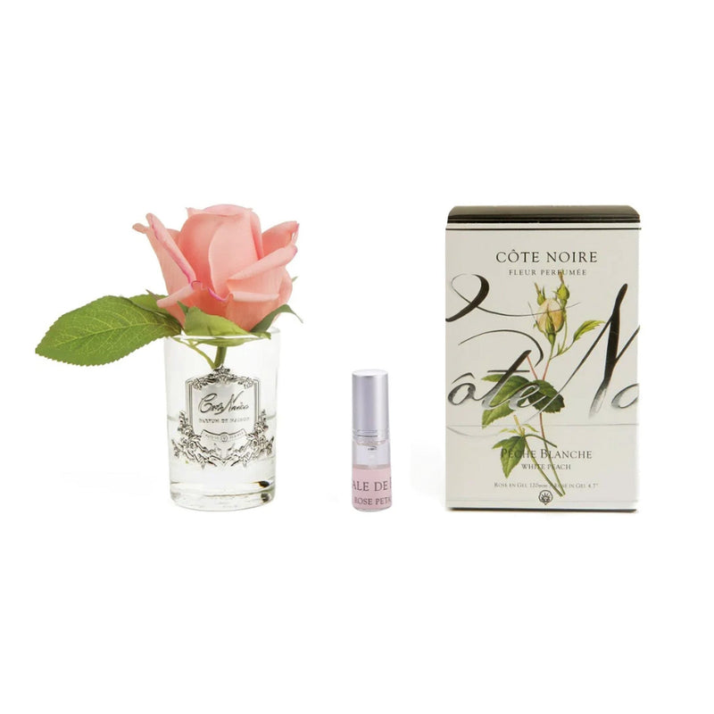 Natural Perfumed White Peach Rose Bud with Clear Vase | Côte Noire