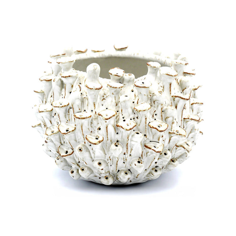 White Sea Anemone Ceramic Vase