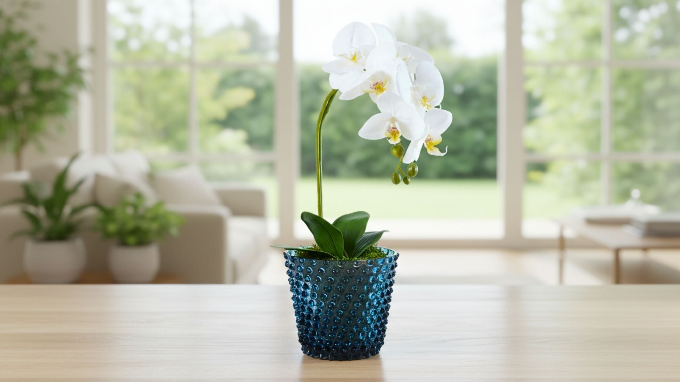 How to Style and Care for Your Hobnail Planter