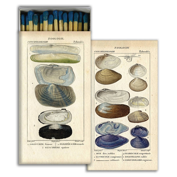 Warm Wishes Designer Matches - Seashell Specimens