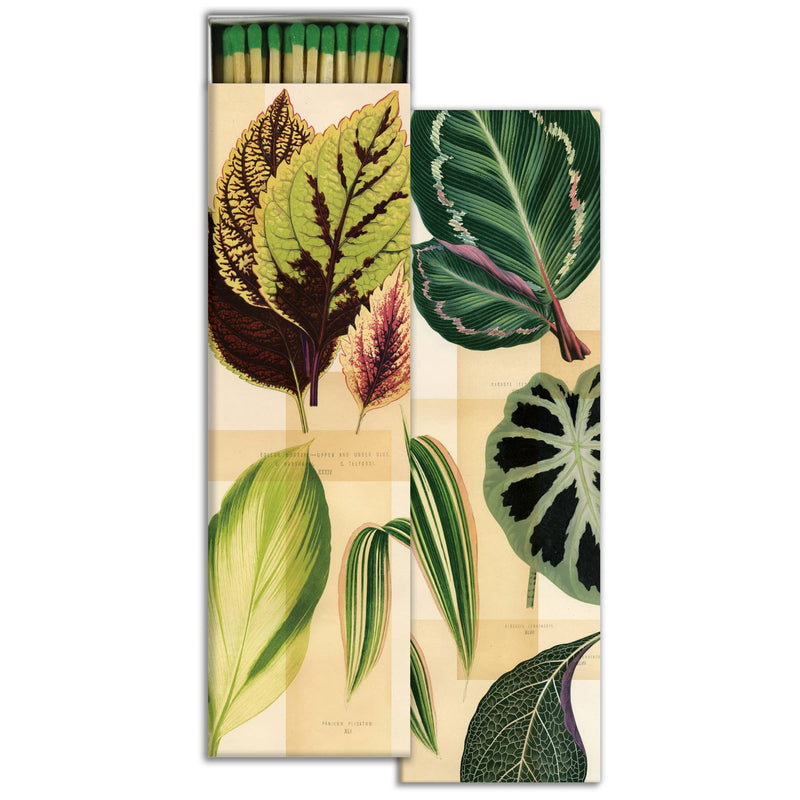 Warm Wishes Designer Matches  - Garden Foliage - Extra Long
