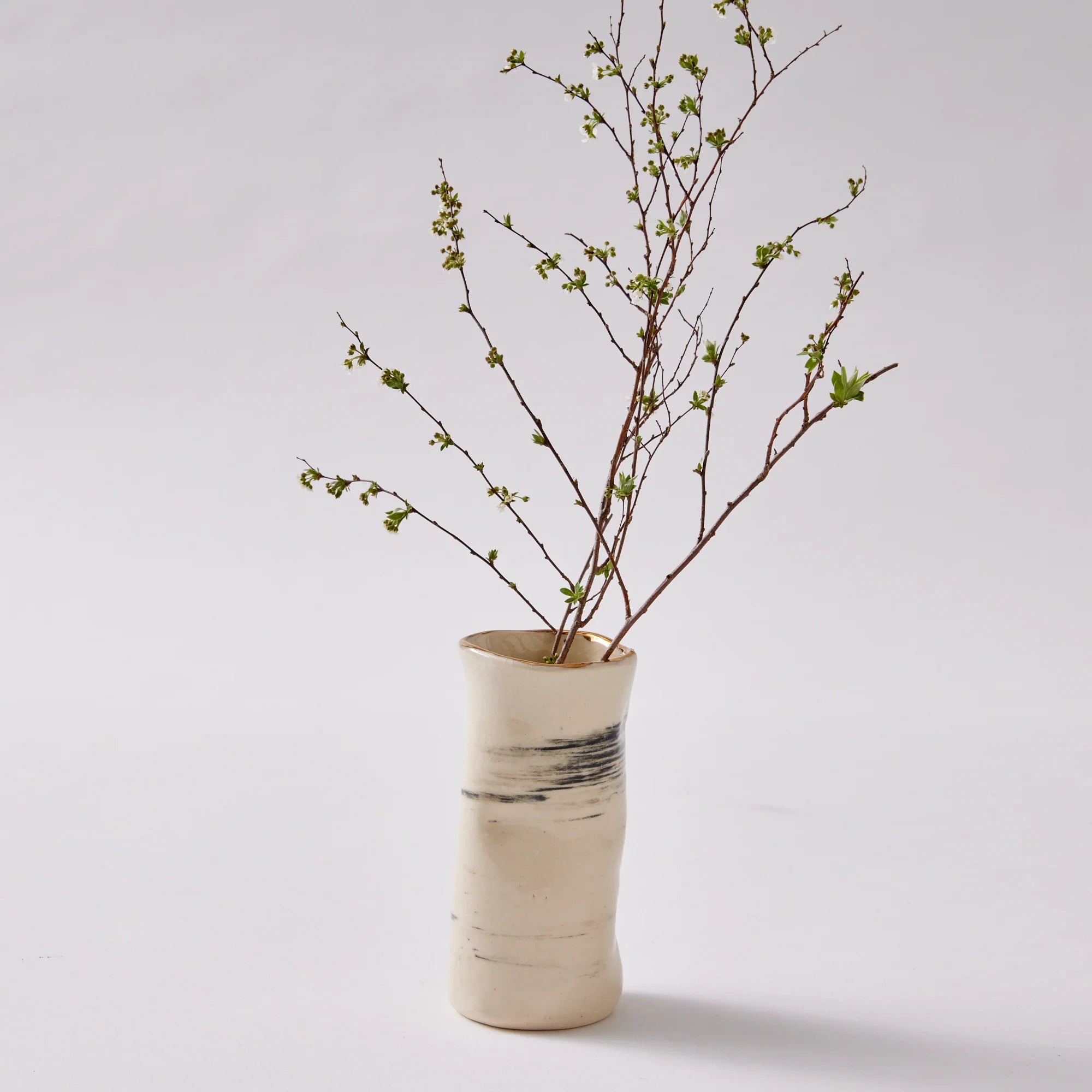Ceramic vase with dried branches on a light gray background