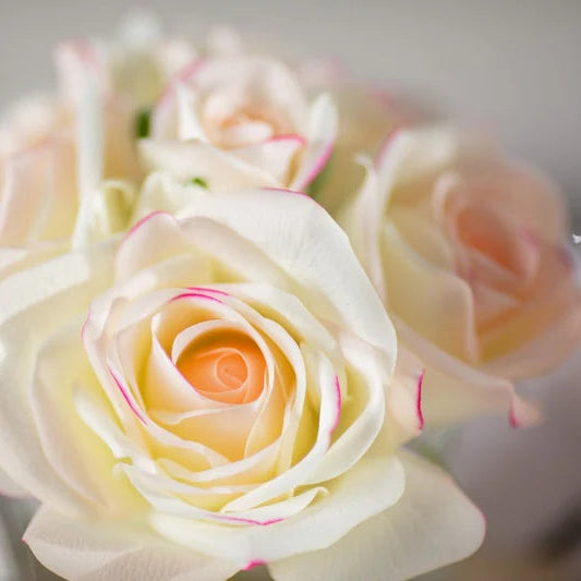 Limited Edition: Five Pink Blush Natural Perfumed Roses with Clear Vase | Côte Noire