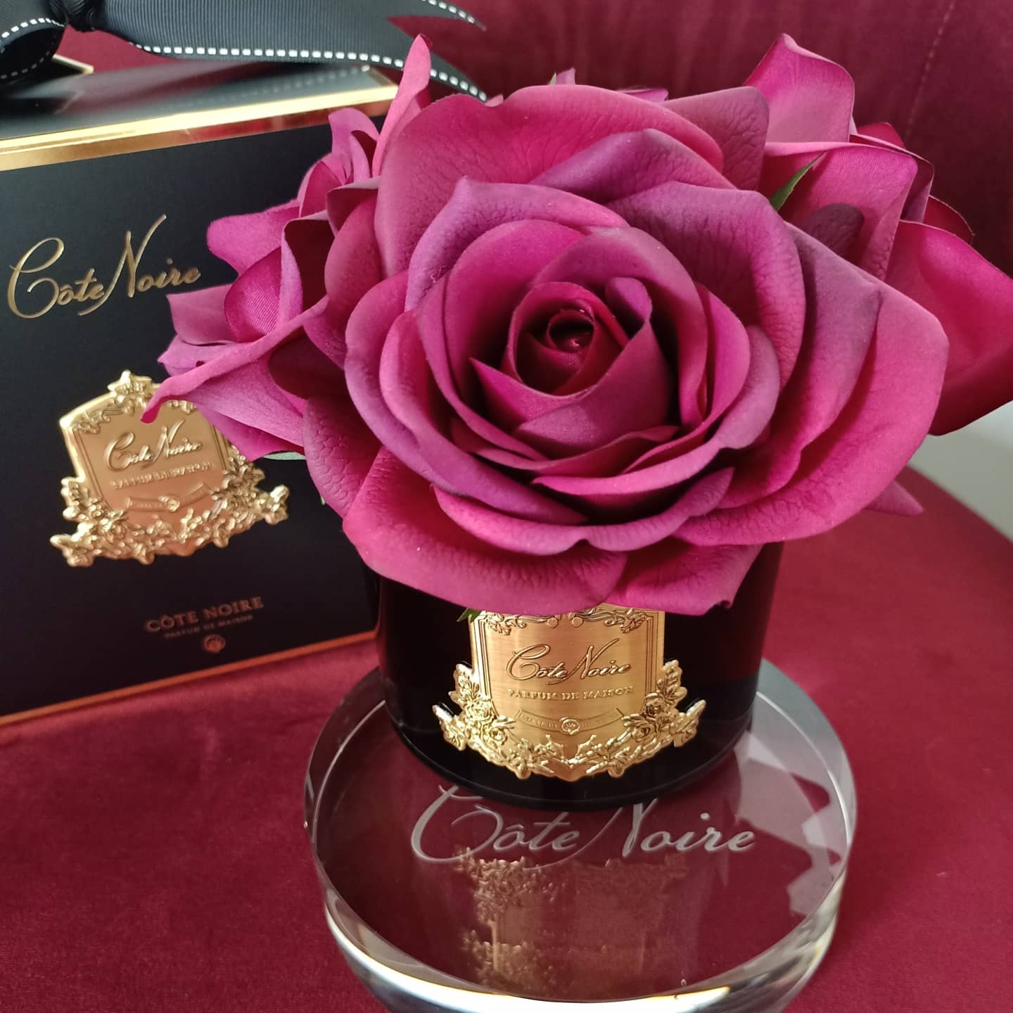 Côte Noire five carmine red roses in black glass with gift box
