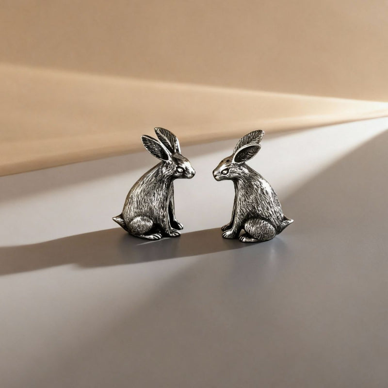 Pewter Rabbit Salt & Pepper Shakers - Unique Housewarming Present