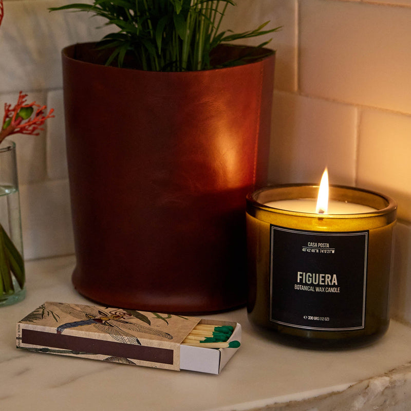 Warm Wishes Designer Matches - Dragonfly