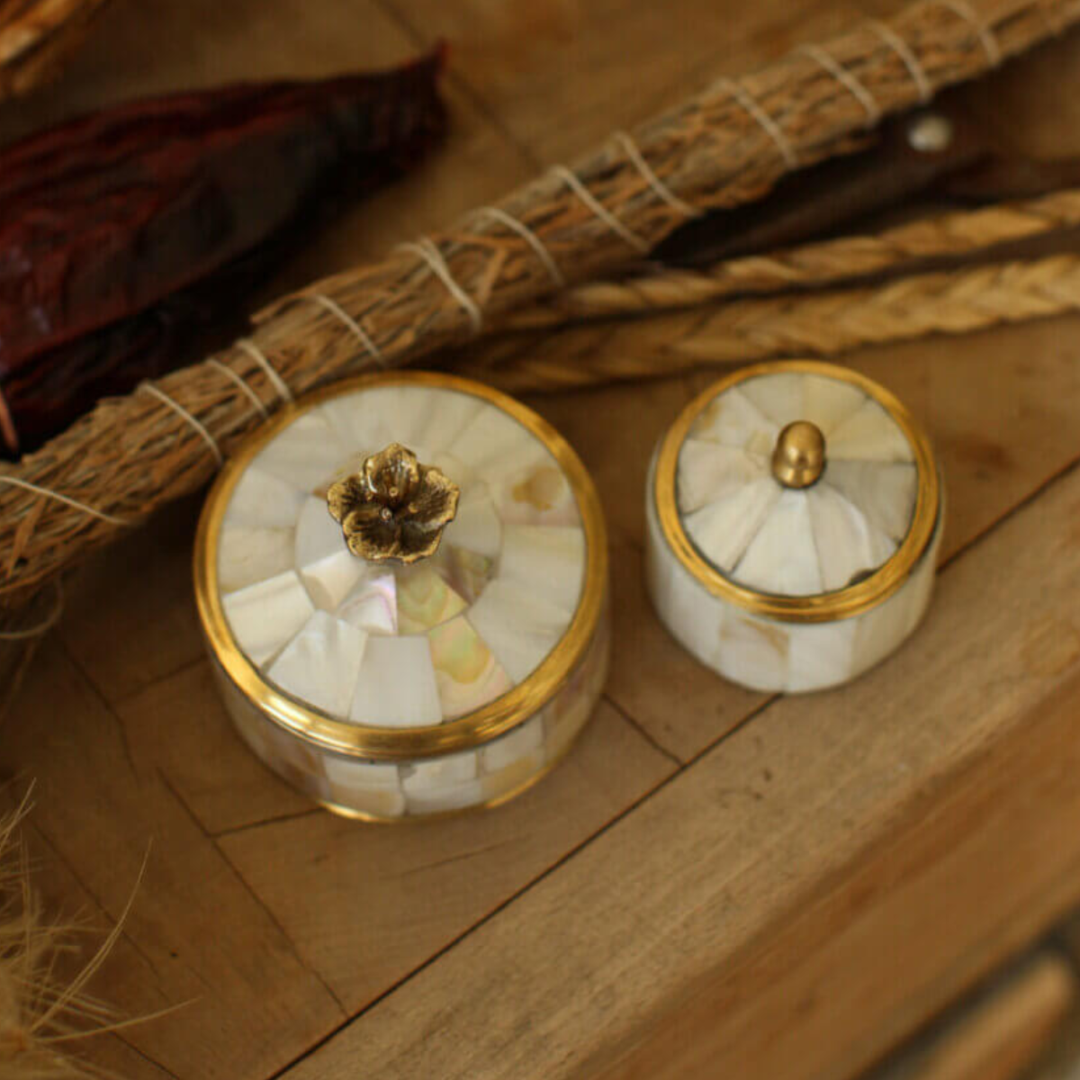 Maisie Circus Box - Pearly