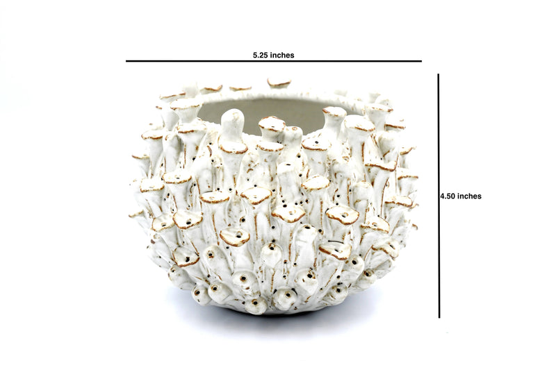 White Sea Anemone Ceramic Vase