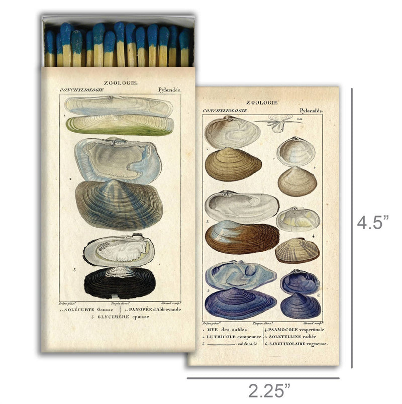 Warm Wishes Designer Matches - Seashell Specimens