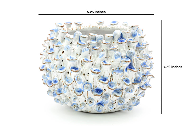 White & Blue Sea Anemone Ceramic Vase
