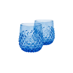 Blue Hydrangea Tumbler Set of 2
