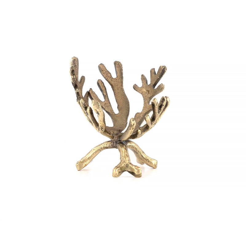 Marie Coral Egg Cup Set of 2