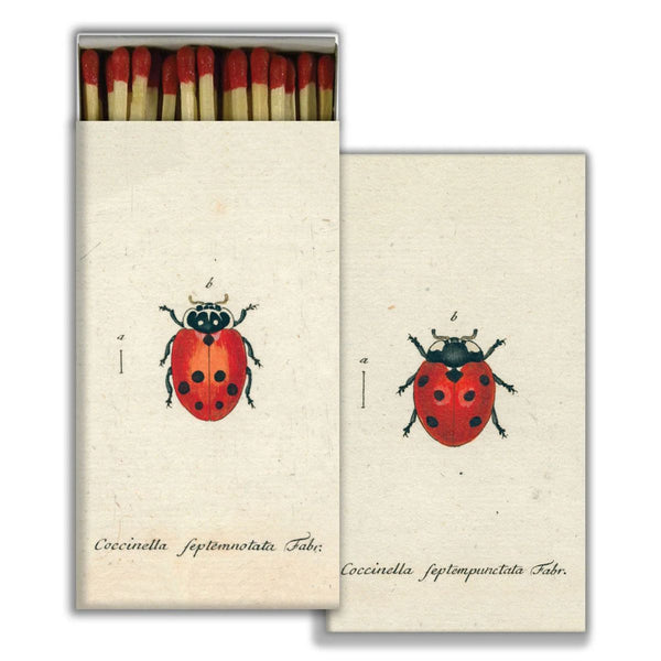 Warm Wishes Designer Matches - Ladybug
