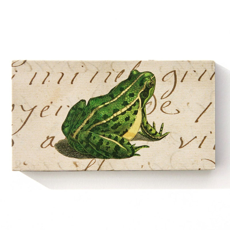Warm Wishes Designer Matches - Frog & Prince
