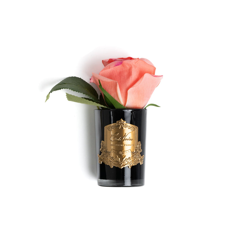 Natural Perfumed White Peach Rose Bud with Black Vase  | Côte Noire