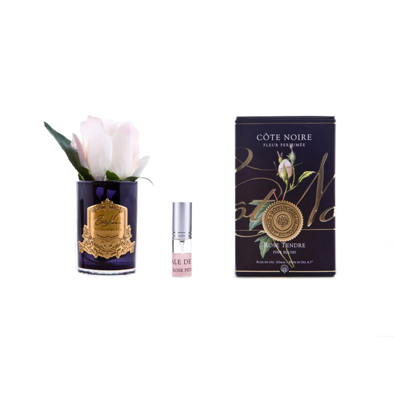 Natural Perfumed Blush Pink Rose Bud with Black Vase  | Côte Noire