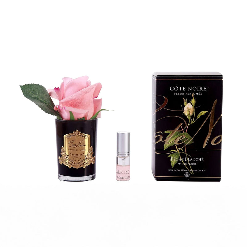 Natural Perfumed White Peach Rose Bud with Black Vase  | Côte Noire