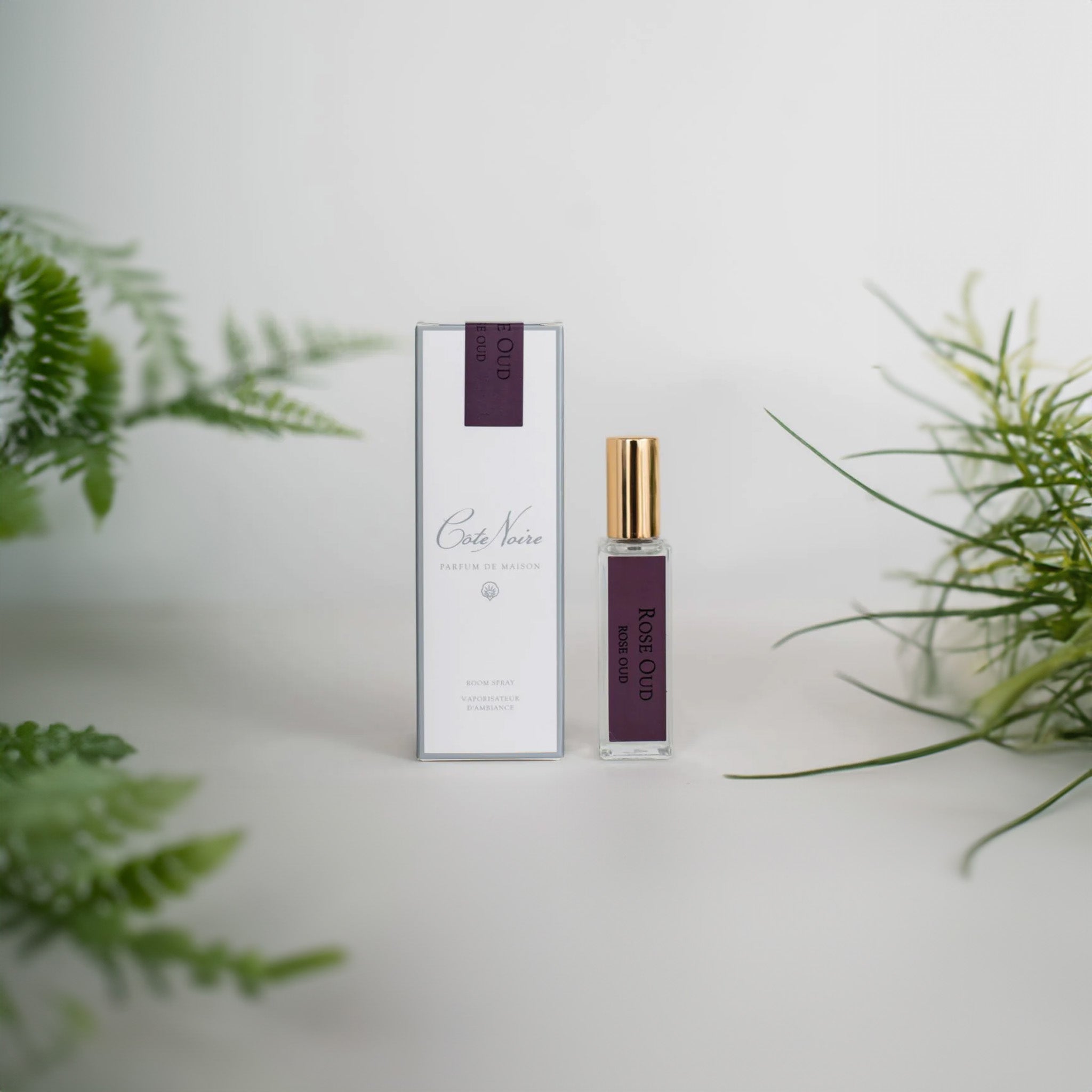 Côte Noire Rose Oud room spray and packaging box displayed on a white surface, surrounded by a soft blur of green ferns, emphasizing the product's natural and sophisticated essence.