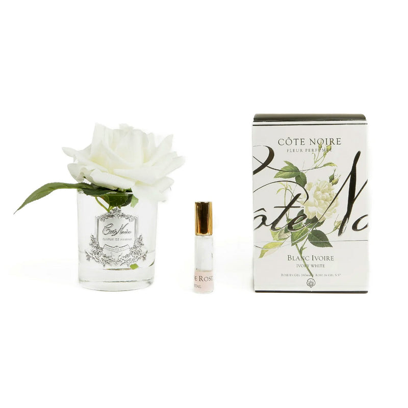 Natural Perfumed Single Ivory White Rose with Clear Vase | Côte Noire