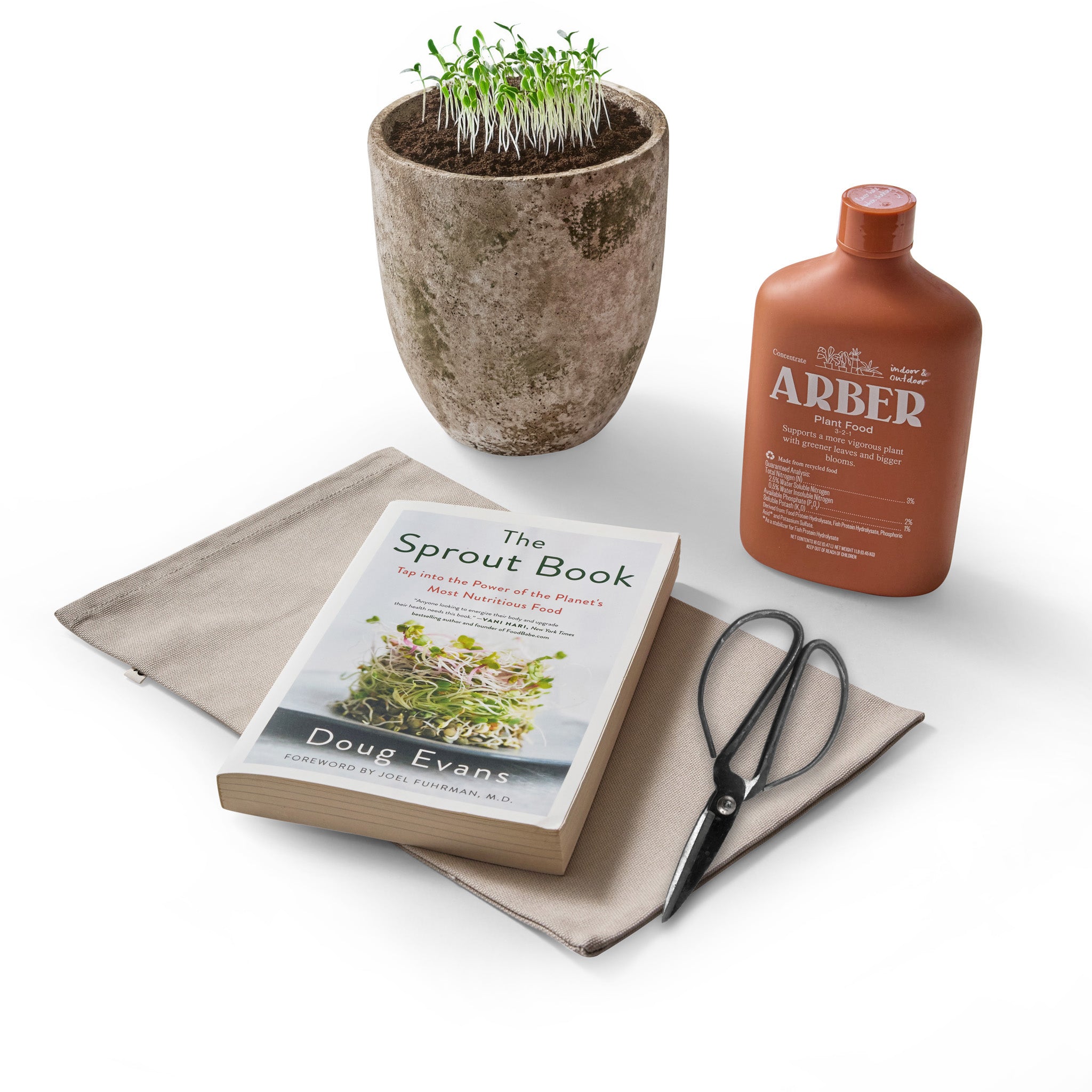 Eco Garden Sprout Gift Box
