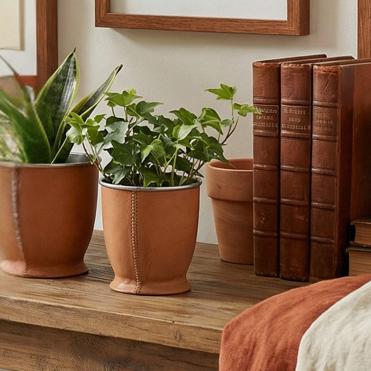 cache pots for plants Set of 4 Leather Cache Pots
