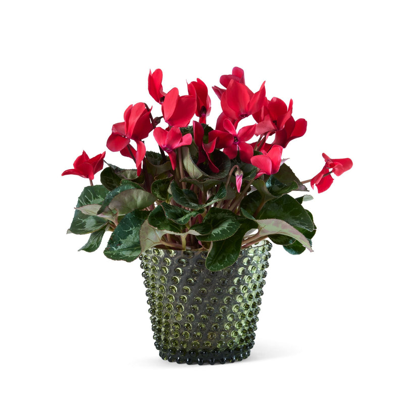 Hobnail Planter - Small - Moss Green
